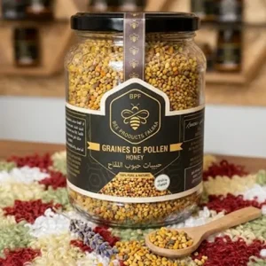 grain de pollen 1حبوب اللقاح